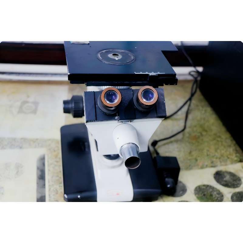 ������΢��